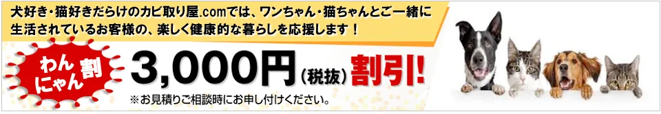 ワンちゃん・猫ちゃんとご一緒に生活されている方々対象 わんにゃん割 3,000円(税抜)割引
