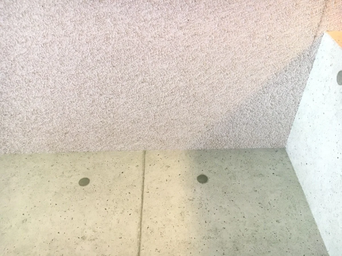 自分でカビ取りがしづらい天井はカビ取り専門会社にお任せ下さい（施工後）