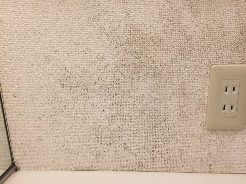 壁紙の表面に細かい点状の黒カビが広がっている様子