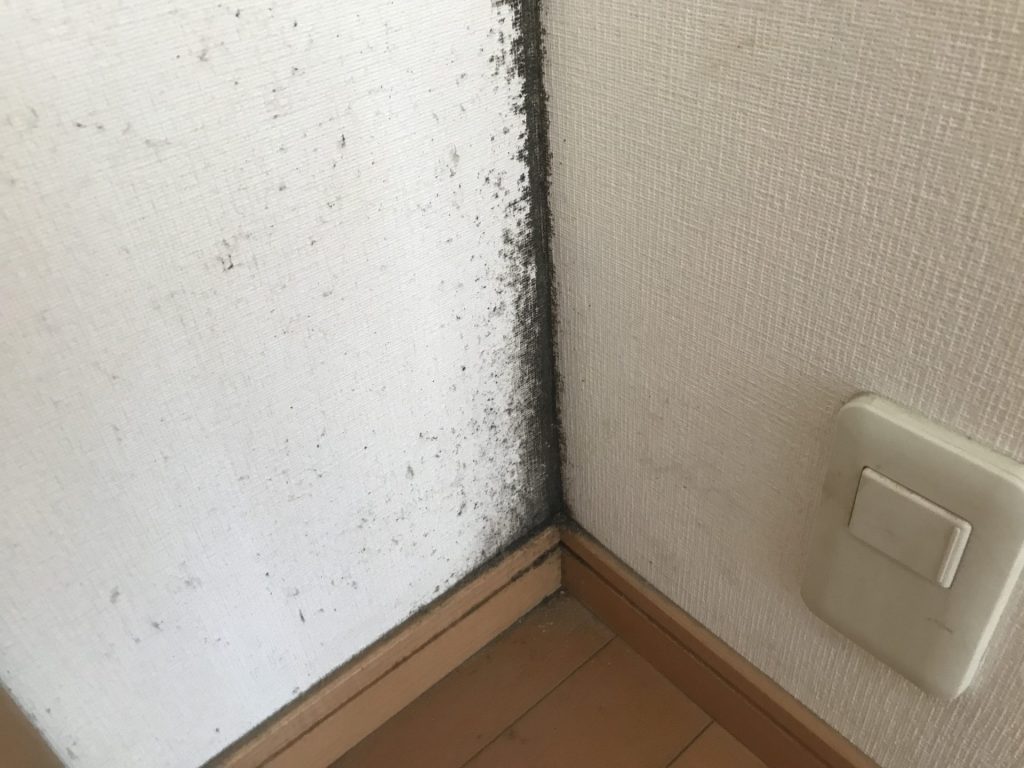 壁の角に沿って黒カビが色濃く出ている様子