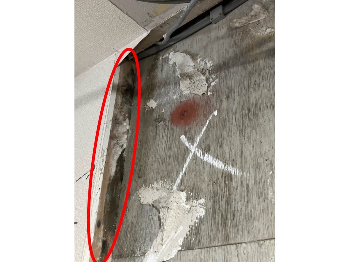 マンションの漏水復旧前に躯体・下地・配管のカビ除去｜内装リフォーム前の除カビ・防カビ施工（施工前）