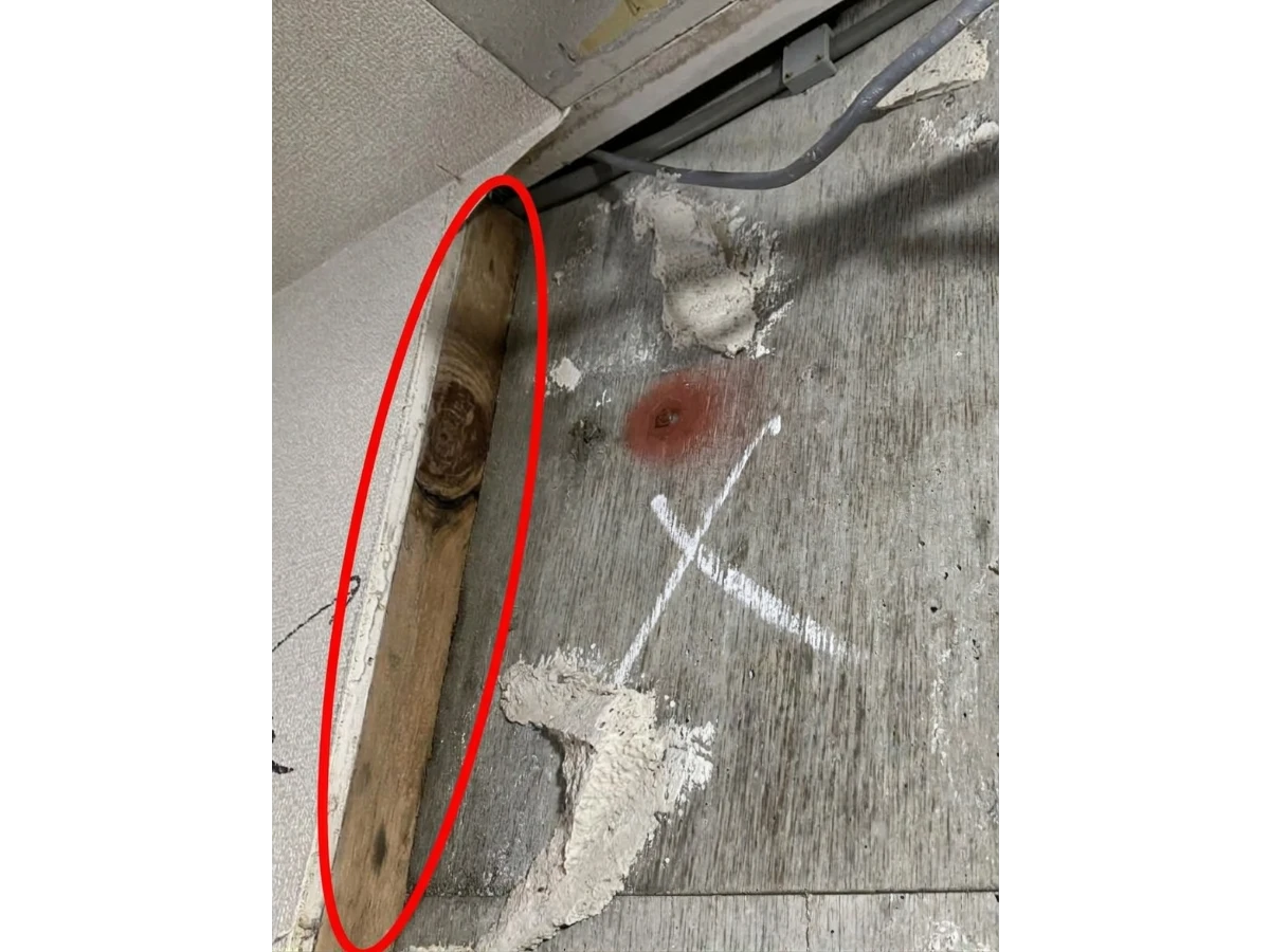 マンションの漏水復旧前に躯体・下地・配管のカビ除去｜内装リフォーム前の除カビ・防カビ施工（施工後）